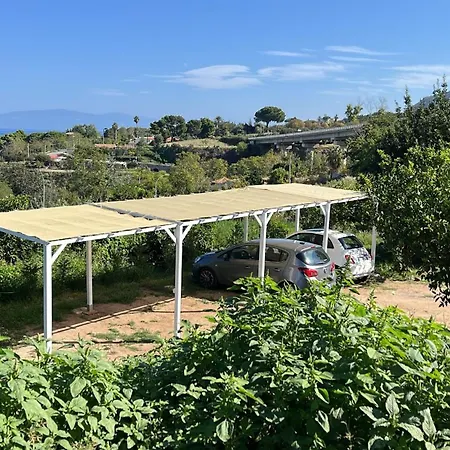 Aurantia - Mediterranean Tale Tropea